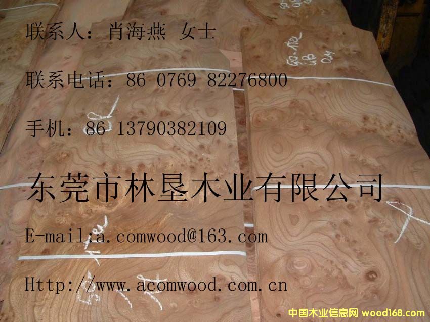 ��ľ�����Ԕ����B