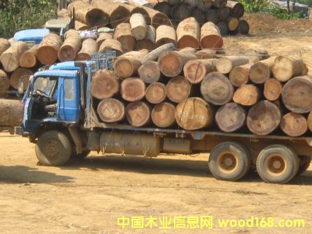 ������ľ��Ԕ��(x��)��B