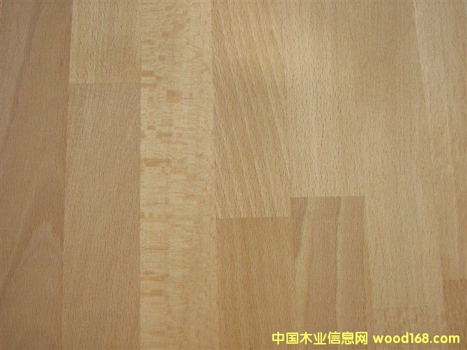 ��ľB����Beech character