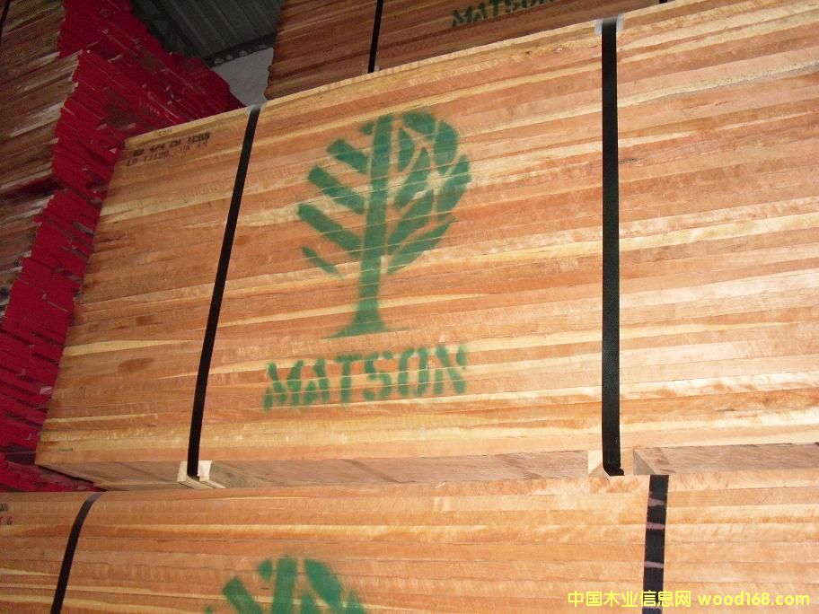 ��������ľ