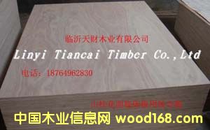 9mmɽ����Ƥ�������z�ϰ��Ԕ��(x��)��B