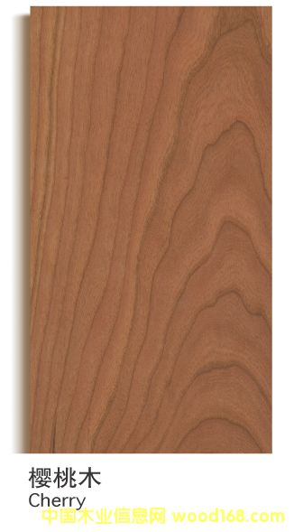 �������Ҍ�ľ��(f��)�ϵذ�