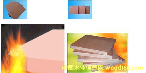 ���ܶ��w�S���Ԕ��(x��)��B