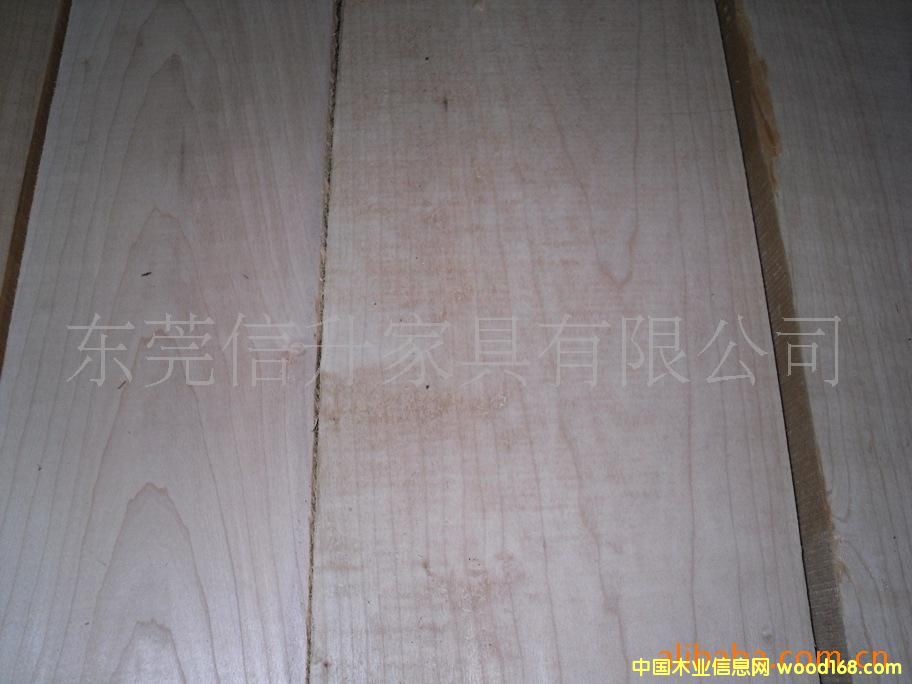 ̫ƽ���ľ8/4 PC MAPLE 50mm��Ԕ��(x��)��B