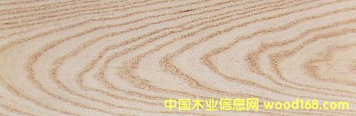 ����(gu��)ˮ���� White Ash��Ԕ��(x��)��B