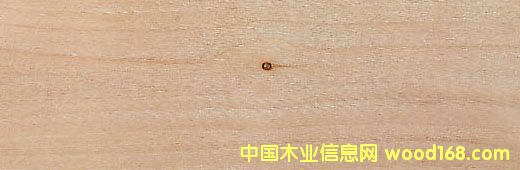 ���P(y��ng) Red Ald��Ԕ��(x��)��B