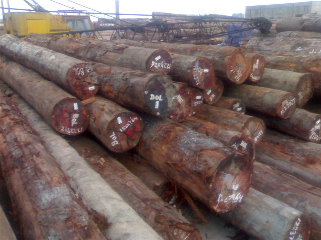 �F���ӣ���������Ԕ��(x��)��B