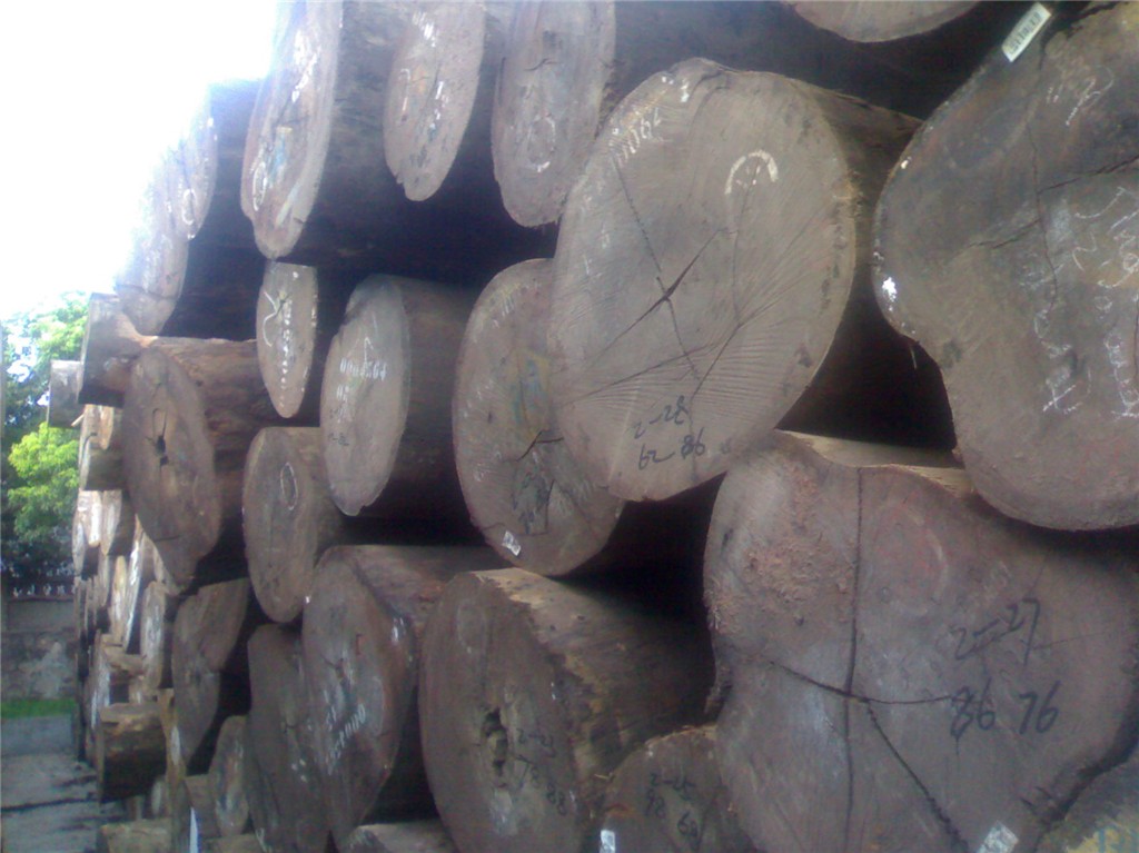 ������Ԕ��(x��)��B