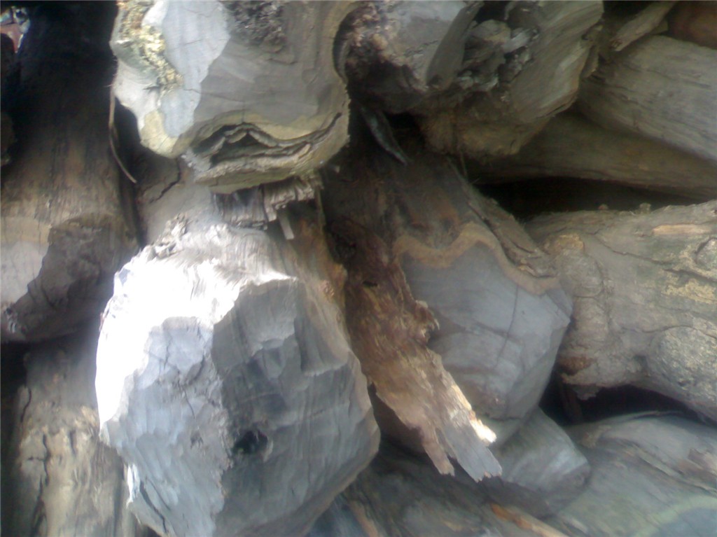 ��ľ���Ϲ�̴����Ԕ��(x��)��B