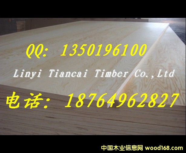 �����T�����z�ϰ����|(zh��)���ɿ����r(ji��)�����