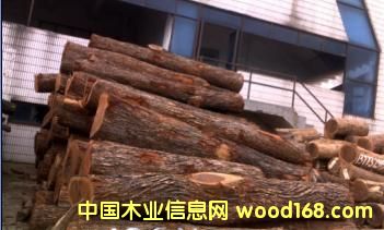 CHANATO��Ԕ����B