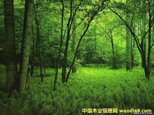 �G����Ԕ��(x��)��B