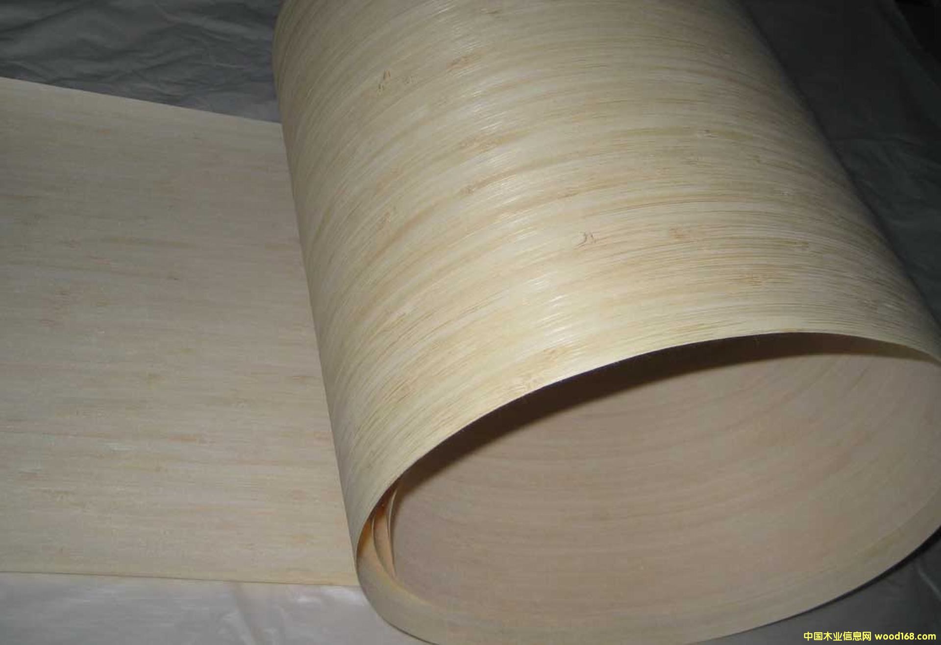 ������Ƭ �N����� ���NƤ��� �NƤ���