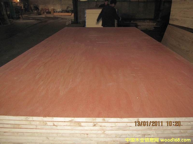 ���ǹ���ח�ľо��ľ�����Ԕ����B