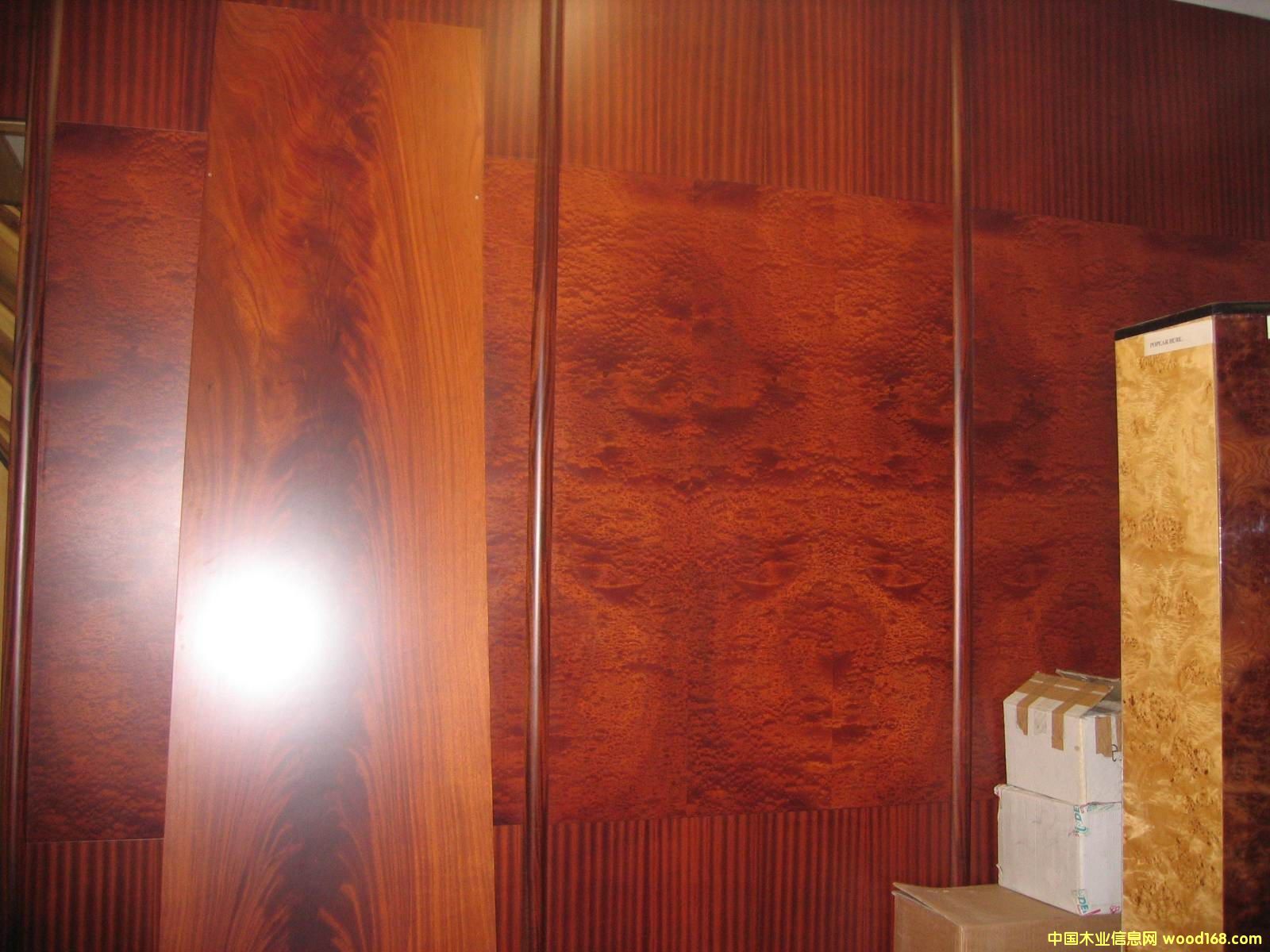 ��yɳ������ɳ������y