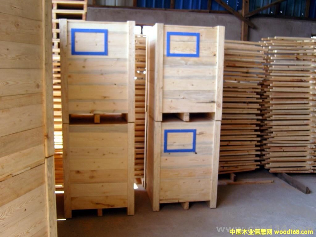 ����(y��ng)����ľ�бP��Ԕ��(x��)��B