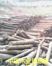 ľ�ĈDƬ��Ԕ����B