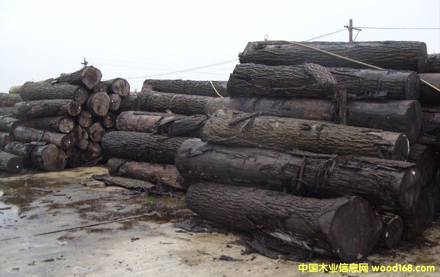 �ں���ԭľ��Ԕ����B