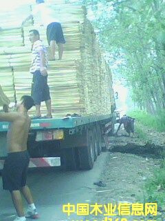 ��ľ�ΰ��Ԕ��(x��)��B