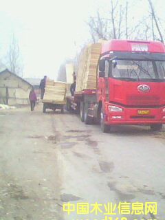 ��ľ�ΰ��Ԕ��(x��)��B