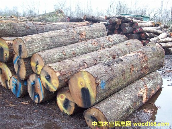 ����(gu��)�t���Ԕ��(x��)��B