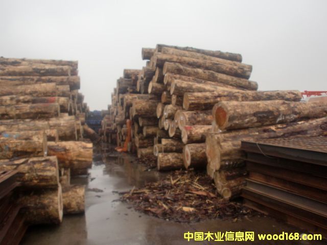 �����mݗ����ԭľ��Ԕ����B