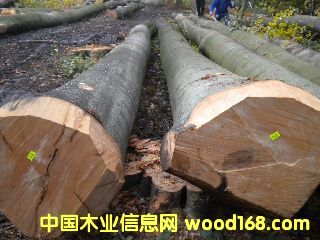 ��ľ �����r(sh��)�ĵ�Ԕ��(x��)��B