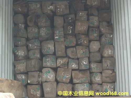 ���޴����̴�������棩��Ԕ����B