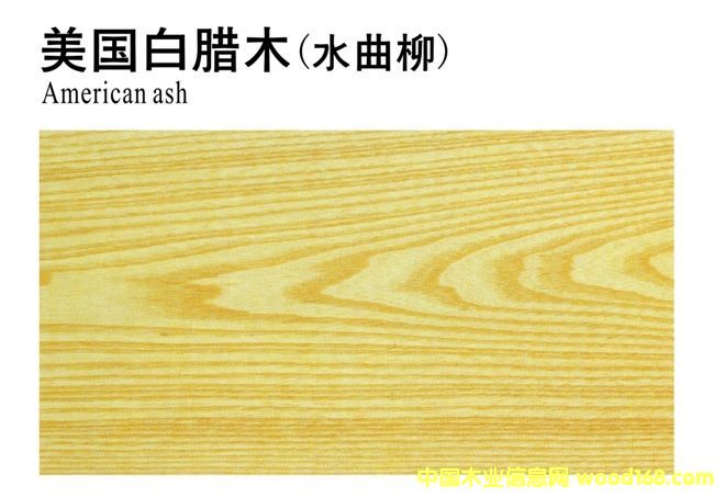 ����(gu��)���Dľ(ˮ����)��Ԕ��(x��)��B