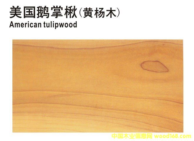 ����(gu��)�Z���ľ(�S��ľ)��Ԕ��(x��)��B