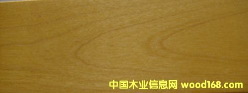 ����ľ�w��ľ�ذ��Ԕ��(x��)��B