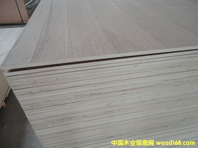 ����ģ�塢�z�ϰ������b���Ԕ��(x��)��B