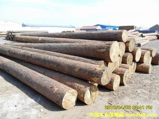 ��ľԭľ��Ԕ��(x��)��B