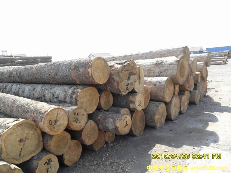 ��ľԭľ��Ԕ��(x��)��B