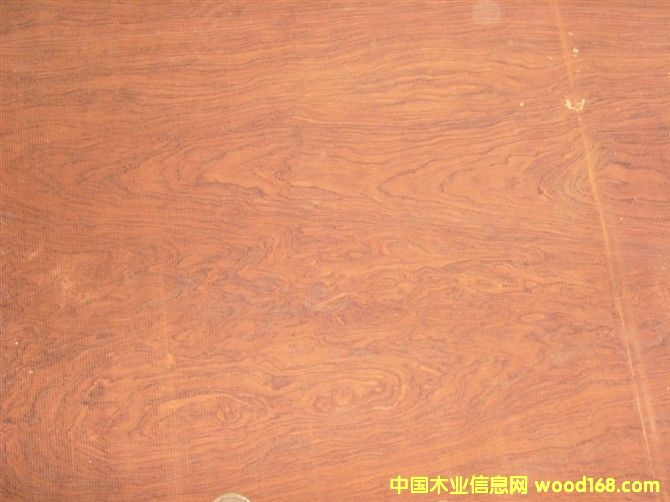 �ͻ���Ԕ����B