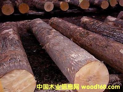 �y��ľ��Ԕ����B