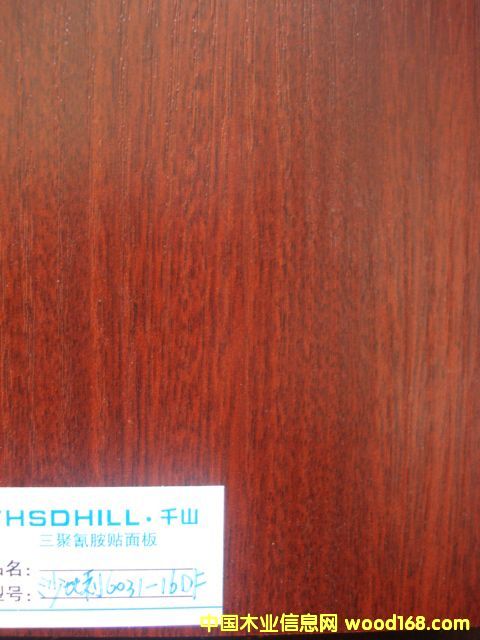 ɳ������Ԕ����B