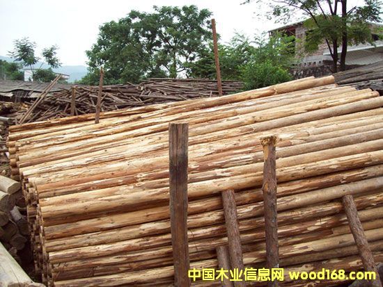 ɼľ3��Ԕ��(x��)��B