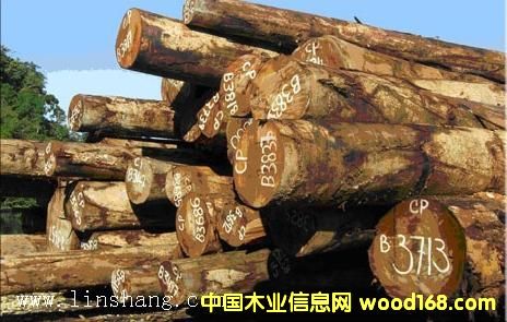 ��ľ���������_�T���󏽣���Ԕ����B