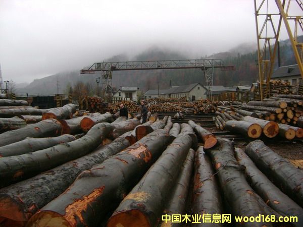 �W�޵���ľ2��Ԕ��(x��)��B