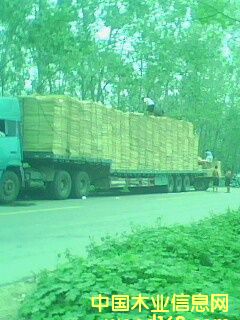 ��ľ�ΰ��Ԕ��(x��)��B