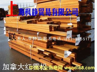 �tѩ�ɵ�Ԕ����B