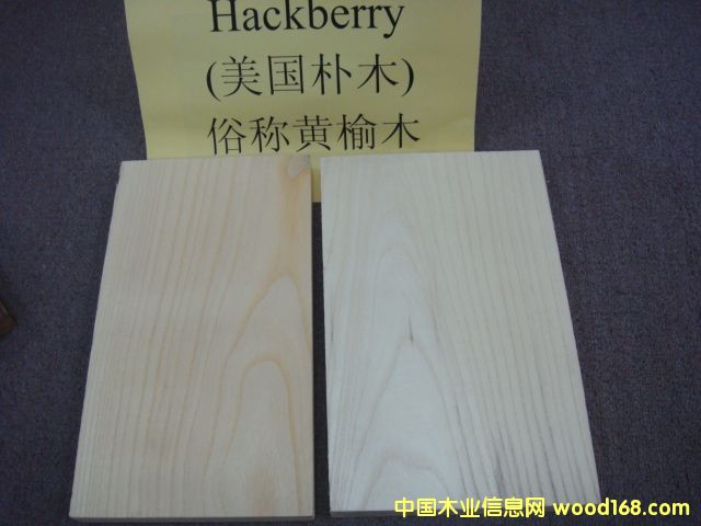 �����S��ľ Hackberry��Ԕ��(x��)��B