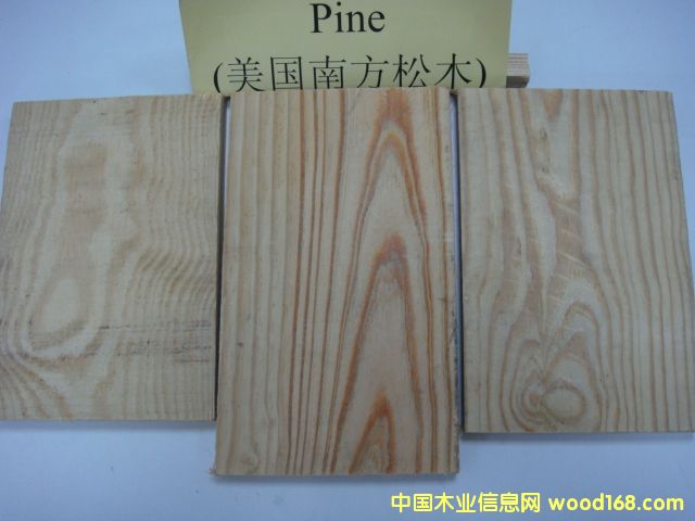 �����Ϸ���ľPine��Ԕ��(x��)��B