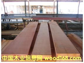 쳝��һ���ľ��Ԕ����B