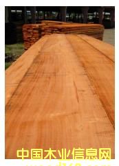 �һ���ľ��Ԕ����B