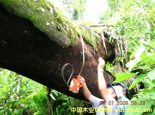 6��Ԕ��(x��)��B