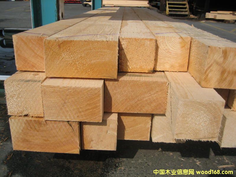 ��ɼ���3��Ԕ��(x��)��B