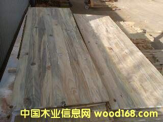 ��ľָ�Ӱ��Ԕ����B