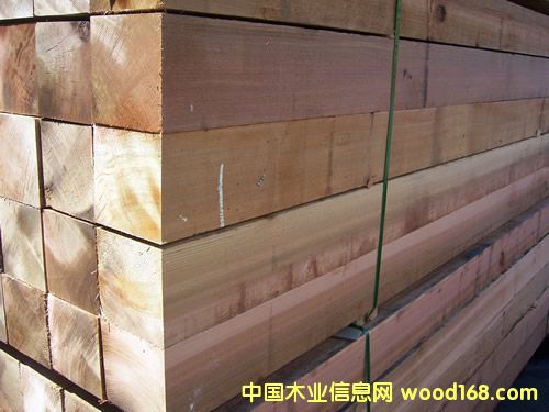 �tѩ�ɵ�Ԕ��(x��)��B